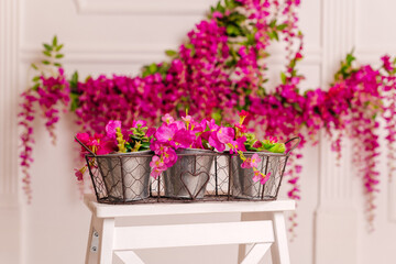 pink flowers in a herb pots 
