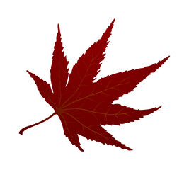 Maple Autumn Leaf