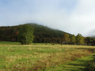 Hick's Run Wildlife Viewing Area with afternoon fog rolling over the Allegheny Mountains, Elk State forest, Cameron County, Pennsylvania.