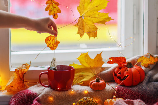 Hand take tea in the Orange mug on autumn background -fall leaves, pumpkin