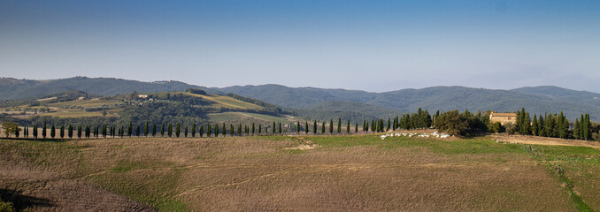 agricultural landscape in Tuscany - 664554406