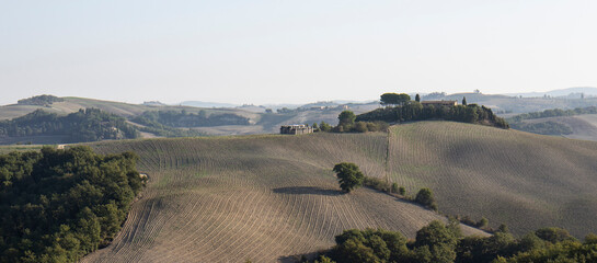 agricultural landscape in Tuscany - 664554451
