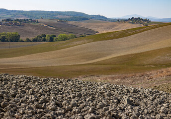 agricultural landscape in Tuscany - 664555490