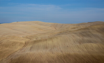 landscape  in tuscany - 664555612