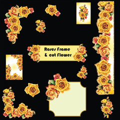 Roses Frames and Cut flowers PNGs 