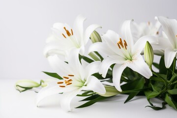 lily on white background with space. Generative AI