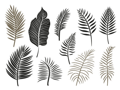 Doodle Palm leaves and branches, cartoon sticker, sketch, vector, Illustration, minimalistic