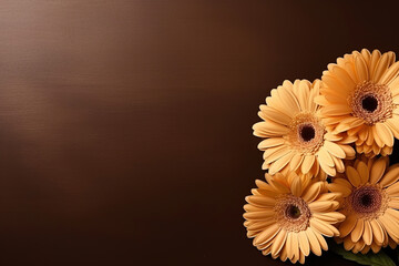 minimalistic background with gerberas, top view with empty copy space