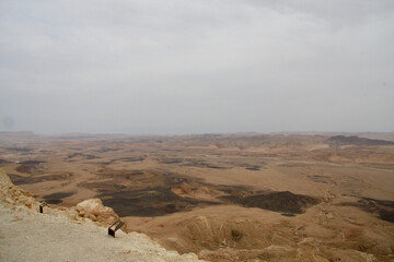 Open Negev Desert in South Israel. Sand dunes with dry air on a summer day. - obrazy, fototapety, plakaty
