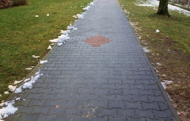 Thaw , approaching spring , small amount of snow snow on cobblestone pavement