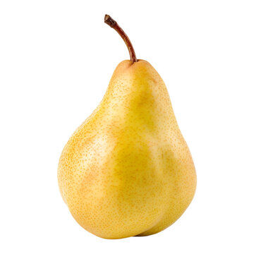 Single whole yellow pear upright with white or transparent background
