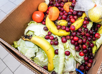 Сardboard box with spoiled rotten vegetables and fruits. Discarded unsold damaged fruits and...