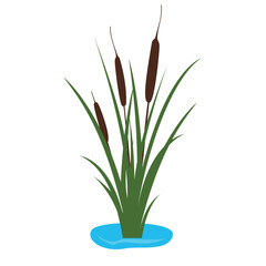 cattail icon logo design vector isolated illustration