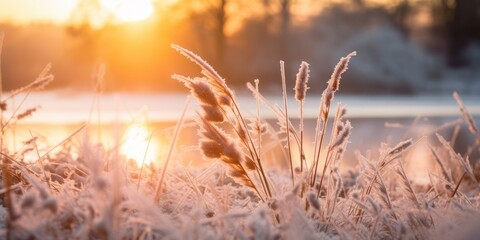 The Setting Sun Illuminates Frosty Grass and a Meandering River, Amidst a Blizzard, Snowstorm, Frost, and the Enchanting Beauty of Winter - obrazy, fototapety, plakaty