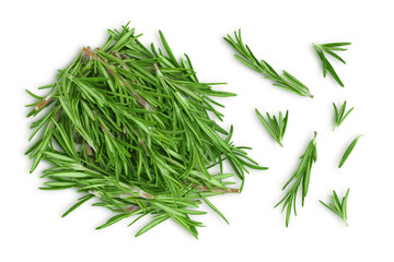 Rosemary twig and leaves isolated on white background. Top view. Flat lay