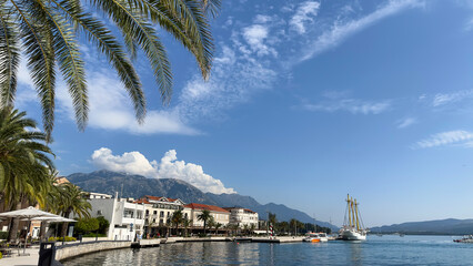View of the bay. Beautiful sea embankment with palm trees on a sunny day, selective focus. Porto Montenegro, Tivat.