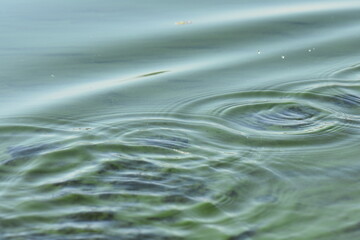 ripples in water