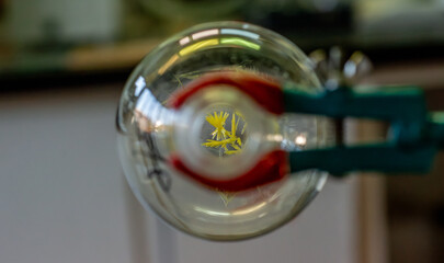 close up of an chemistry flask
