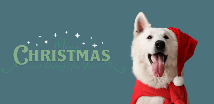 Greeting banner for New Year and Christmas with funny dog in Santa hat