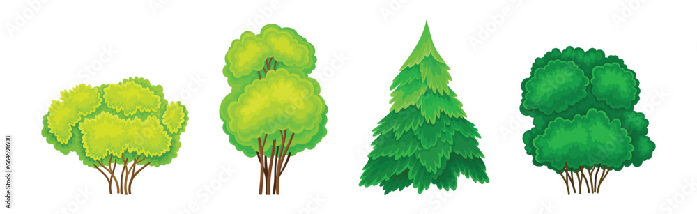 Poster tree with green crown and trunk as forest element vector set
