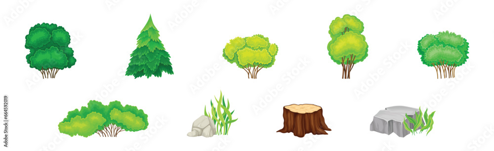Poster tree with green crown, stump with bush as forest element vector set