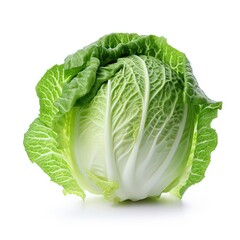 Fototapeta premium Oriental cabbage