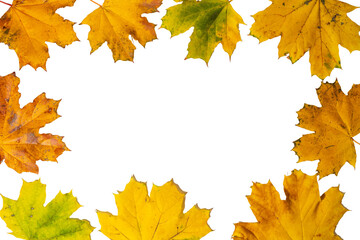 Beautiful autumn frames made of yellow maple leaves. Flat lay. PNG. Transparent background.  Fall. Halloween.