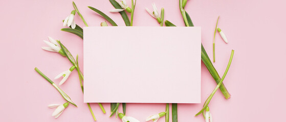 Beautiful snowdrops and blank card on pink background