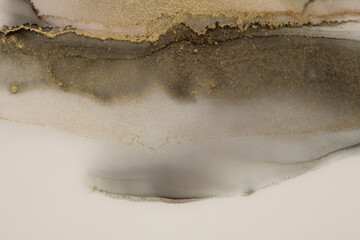 Art Abstract watercolor and alcohol ink flow blot painting. Brown, beige color with gold glitter. Canvas marble texture background.