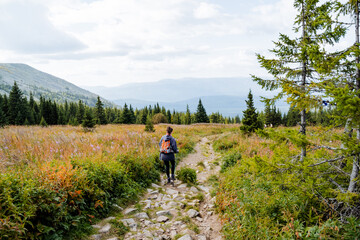 Trekking in the mountains, stone trail, girl walking on the road, alpine meadows, a man traveling...