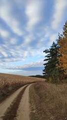 road in the countryside