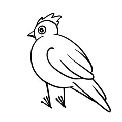 Line sketch, coloring of a little bird. Vector graphics.