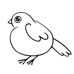 Line sketch, coloring of a little bird. Vector graphics.