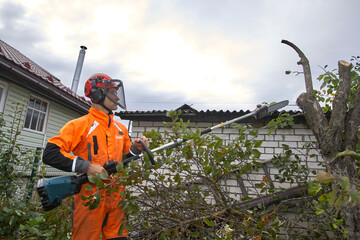 Obraz premium Tree surgeon. Working with a chainsaw. Sawing wood with a chainsaw.