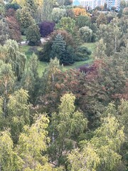 Fall beauty