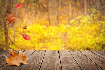 Naklejka na ściany i meble Colored fall leaves and wooden board, natural background