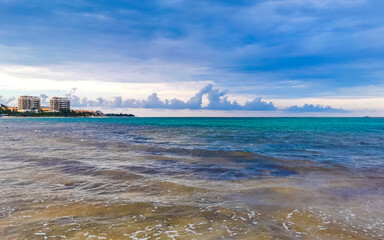Tropical mexican beach clear turquoise water Playa del Carmen Mexico.