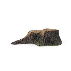Wooden stump cut saw with green moss and ferns