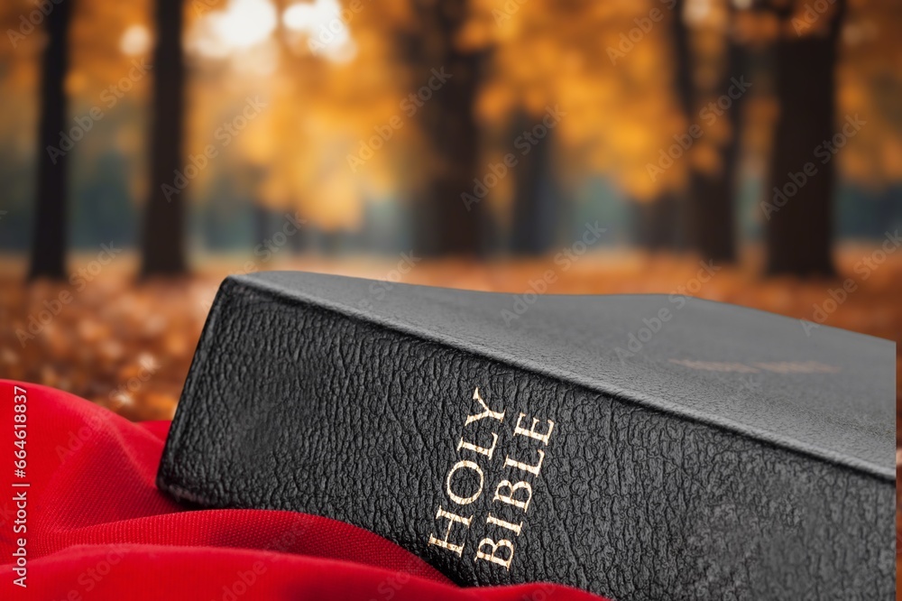 Wall mural A Christian Holy Bible book an autumn background, AI generated image