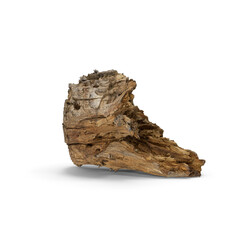 Texture tree bark podium showcase