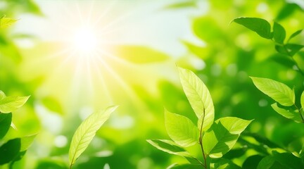 Obraz premium green leaves background