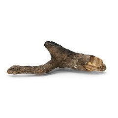 Old wooden branch tree podium