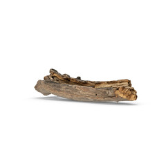 Old wooden branch tree podium