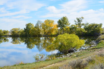 Still shores reflection