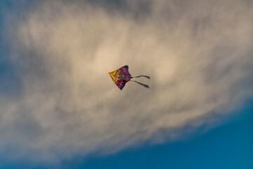 Color kite with blue sky and white clouds in sunny utumn windy evening