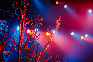 christmas tree lights