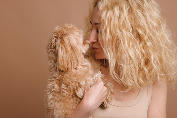 a girl holds a cute Maltipoo dog in her arms close-up on a plain beige background, the concept of love for a dog