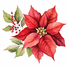 poinsettia christmas decor watercolor painting on white background, generated ai