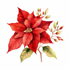 poinsettia christmas decor watercolor painting on white background, generated ai