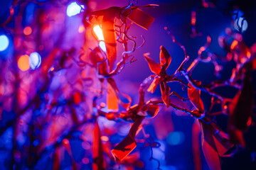 Capture stunning bokeh of floodlit tree branches up close with a prime lens, wide aperture, and...